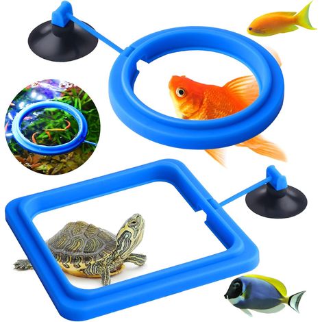 Set di 2 mangiatoie circolari per pesci d'acquario - Accessori per guppy, betta, pesci rossi, tartarughe (blu)