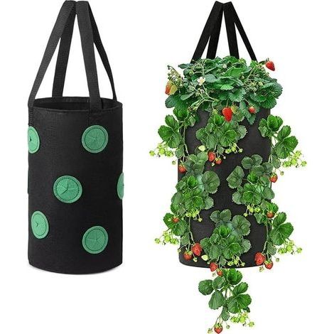 2 Pcs Fraisiers Sacs de Culture,Sac Plantation Fraises,Fraises Sac Culture Respirant,Sacs à Fraises Suspendu,avec Ouvertures Latérales et Poignées,pour Fraises,Légumes,Fleurs(Noir) (1/5)