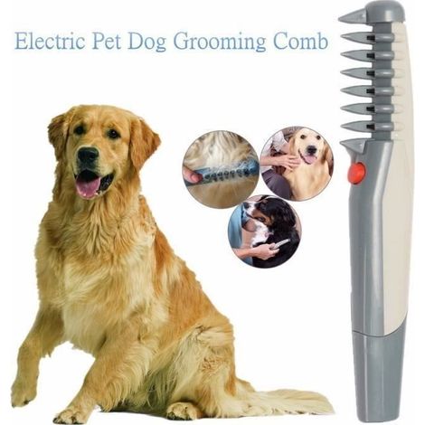 Peigne de Toilettage Électrique - Pour Chats et Chiens - ABS - Compact - Lames Rotatives (1/4)