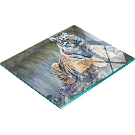 Tablero decorativo multifuncional de cocina de cristal templado con diseño de tigre, 60x52 cm. (1/5)