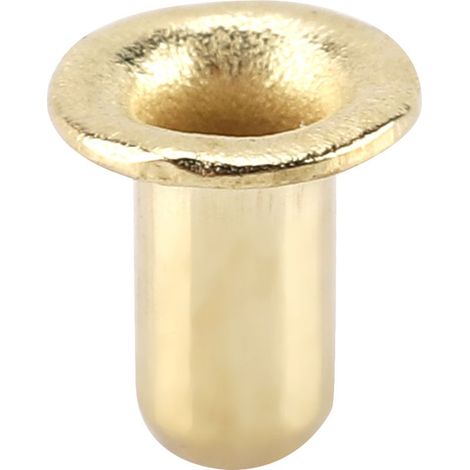 Œillets en Laiton pour Cadres de Ruche, Accessoires Apiculture (Lot de 1000) (1/5)