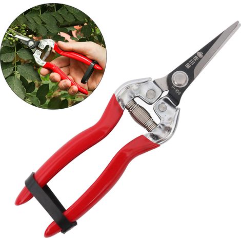 Sécateur à lames droites en acier inoxydable, cisaille de jardin pour élagage, coupe-feuilles et taille-haies (1/5)