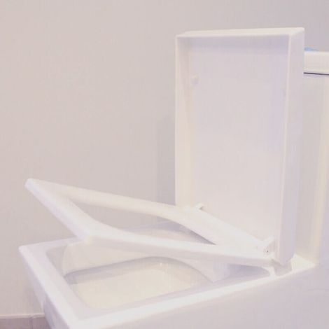 Abattant pour WC à Poser Monobloc - Connect (1/2)
