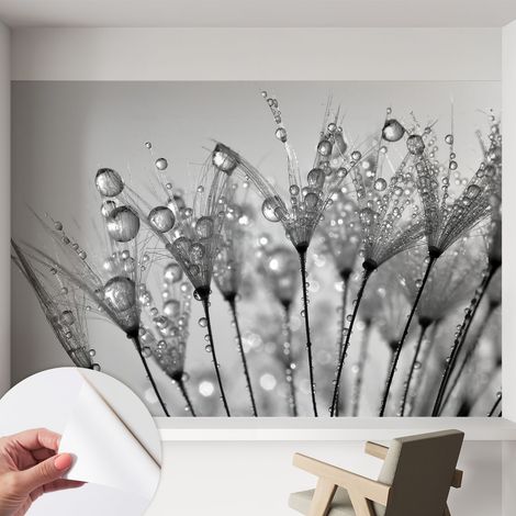Fotomurale adesivo - parete decorativa - decorazione casa - stile moderno parete - Delicatezza bagnata 152x104 cm (1/5)