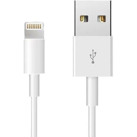 Lot de 5 câbles de charge Lightning pour iPhone - Chargeur (1/2)