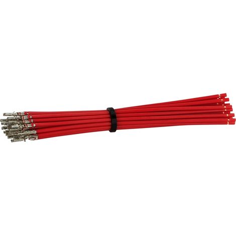 Terminale de Connecteur Molex Micro Fit -f- 10cm Rouge
