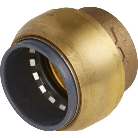 Sealey SharkBite® Line End Plug 22mm SBA22P