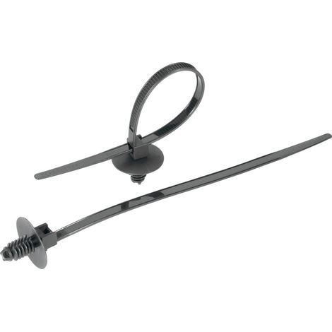 TRU COMPONENTS 1592907 TC-PDV170203 Kabelbinder 169 mm 5 mm Natur mit Spreizanker und Teller 1 St.
