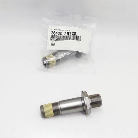 Die Teilenummer 264202B720 ist für die Ölfilter-Befestigungsschrauben von Hyundai Elantra, Sonata, Kia und Ford geeignet. (1/4)