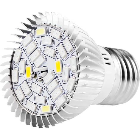 Ampoule LED Croissance Plantes E27 Full Spectrum - Lumière Horticole Rouge Bleue pour Succulentes Semis Intérieur Hiver (1/5)