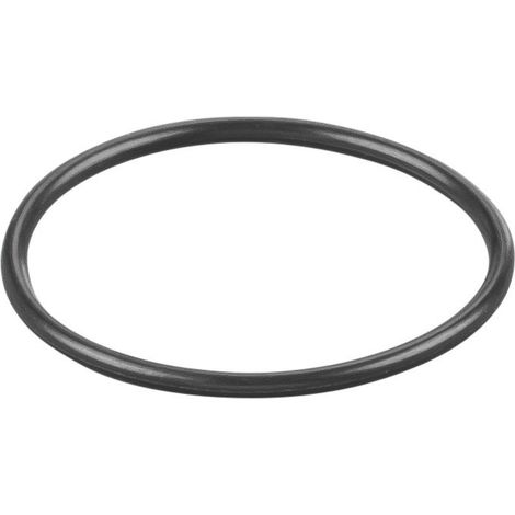 Rems O-Ring 060109