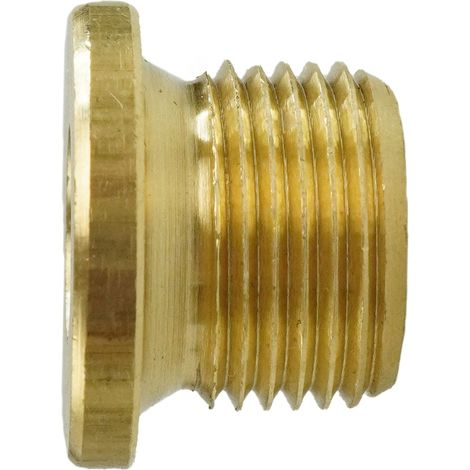 Reidl DIN 908 Verschlussschrauben mit Innensechskant u. Bund, zylindrisches Rohr-Gewinde 3/4 x 20, Messing blank