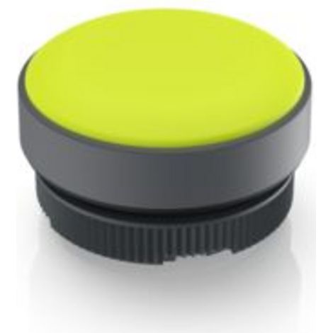 RAFI 1.74.508.001/2400 Indicateur lumineux jaune 1 pc(s) V303763