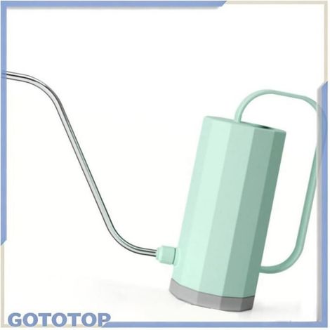 Arrosoir - Acier Inoxydable - Bec Long - Pour Jardin Et Plantes D Intérieur - 2,5 L (1/5)