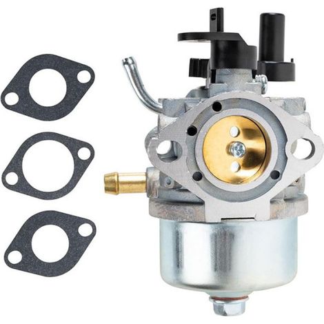 Carburateur - Pour Moteurs Briggs & Stratton Modèles 801396 801233 801255 CCR2450 CCR3650 - Unité (1/5)