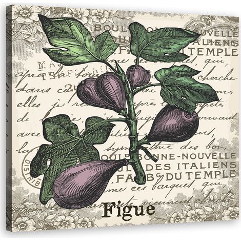 Quadro su tela, Fichi vintage - 40x40 (1/5)