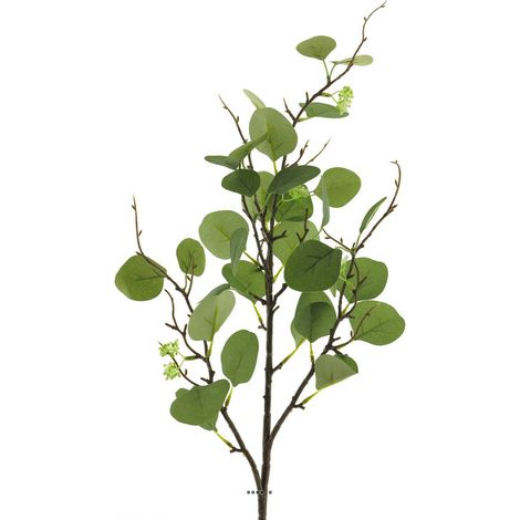 Branche d'eucalyptus artificielle Vert L 27 cm H 92 cm avec feuille en tissu (1/3)