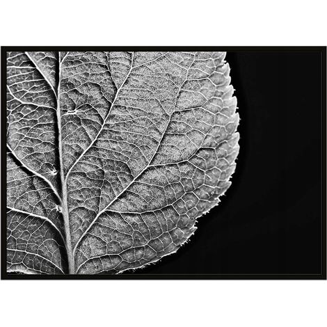 PÓSTER ENMARCADO 43x33 cm Hoja P908 (1/3)