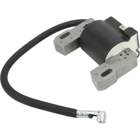 Engine Ignition Coil Module 590454 692605 790817 Stable Performance For Bs Lawn Mower (1/4)