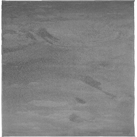 Tapis OVIEDO à poils courts, gris anthracite, 120 x 120 cm (1/5)
