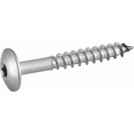 100 Vis de Façade Tête Cylindrique Extra Large Six Lobes 4.8 x 50 mm - Inox A2 - D-Work (1/5)