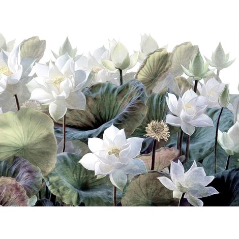 papier peint panoramique feuilles et fleurs tropicales vert et blanc - Sanders & Sanders (1/5)