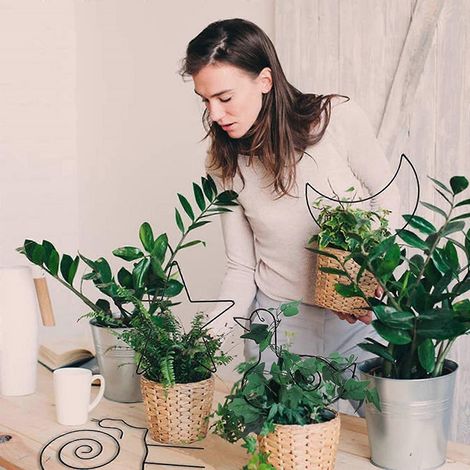 Support en fer pour fleurs, treillis résistant à l'usure pour plantes en pot, pour jardin, terrasse ou patio (1/4)