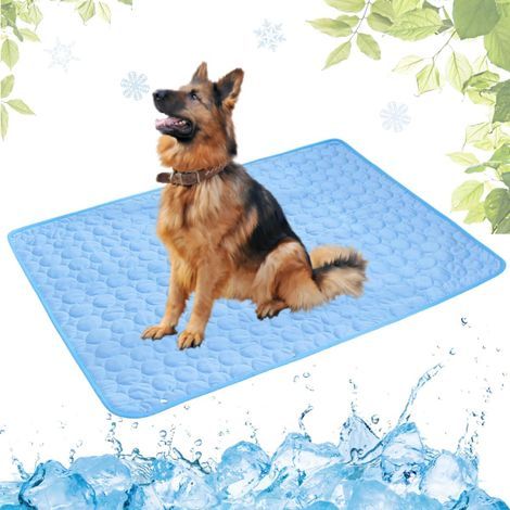 Tapis rafraîchissant pour animaux de compagnie. tapis rafraîchissant portable pour l'été (bleu. 70 x 100 cm) (1/5)