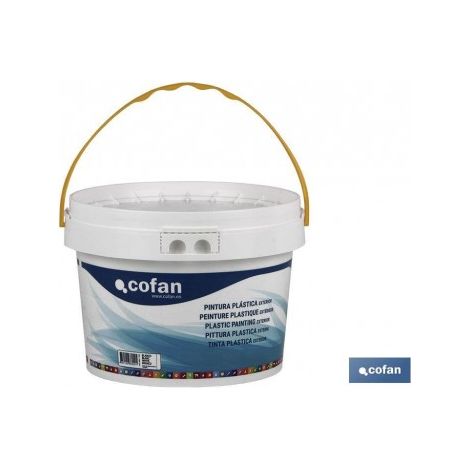 Peinture plastique extérieure mate 750 ml blanc