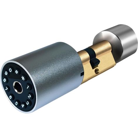 Serrure de porte intelligente Serrure De Porte Intelligente De Taille Variable, Serrure De Porte Extérieure, Serrure Électronique À Empreintes Digitales, Application Tuya, Serrure À Cylindre Avec Mot (1/5)