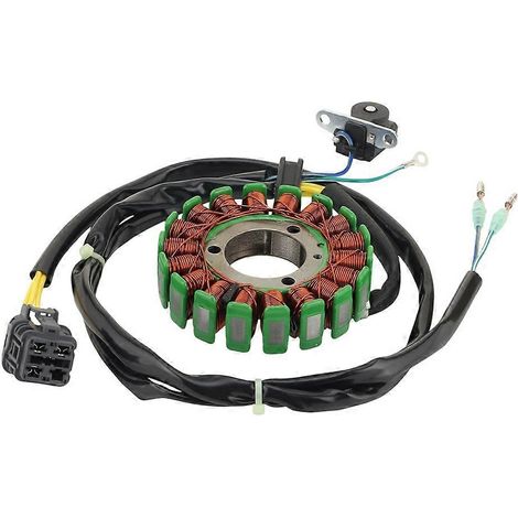 Bobine de stator pour VTT Triton Baja 250 Outback 300 400 Access Xtreme Tomahawk 300 31120-E10-100 ACC-31120-E10-000