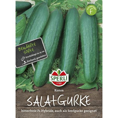 Sperli – Concombre de plein champ Konsa F1 (Cucumis sativus) – Graines de légumes, fruits lisses d'env. 25 cm (1/2)