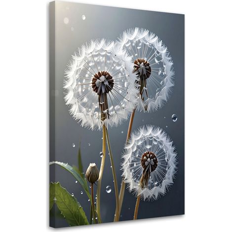 Quadro su tela, Dente di leone con gocce di rugiada su sfondo scuro - 20x30 (1/2)