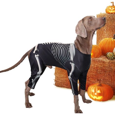 Costumes Halloween pour Grand Chien Vêtements Respirants Et Tenues  Déguisements Squelette Halloween Pour Noël Cosplay Effrayant Drôle Tenues Animaux Soirée Déguisement Ail (1/5)