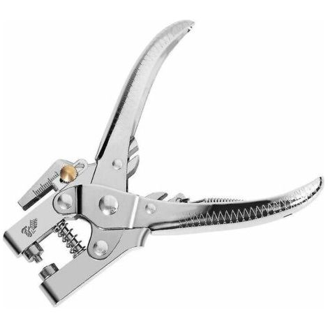 Outil multifonction Pince à oeillets perforatrice Kit d'outils complet avec 100 oeillets en laiton artisanat