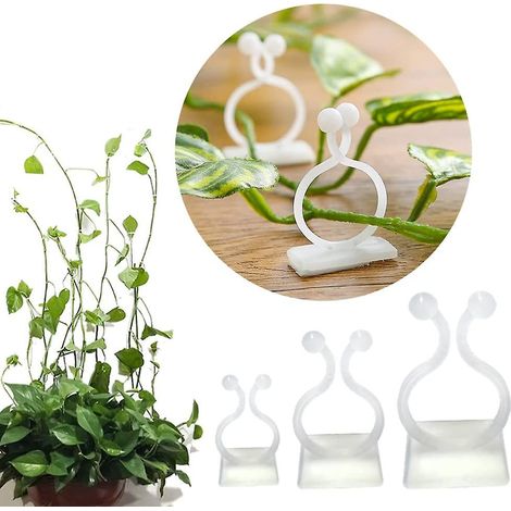 Lot de 100 supports muraux pour plantes grimpantes avec crochets auto-adhésifs et fixation invisible (1/5)