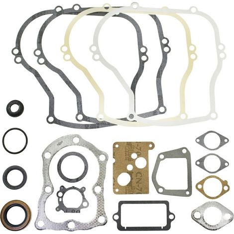 Serie guarnizioni Vecchi 5 HP verticali 130900 -320025