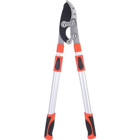 Garden pruning shears, a tool for pruning plants, trees and flowers (1/5)