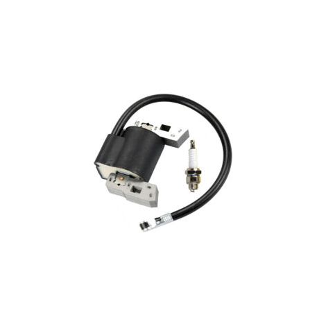 Bobine d'Allumage avec Bougie Incluse - Compatible Réf. 397358, 298316, 395491, 697037