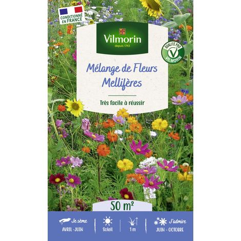 Fleurs Mellifères - 50 m² - Mélange de fleurs Vilmorin (1/3)