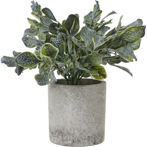 Small Giana Eucalyptus Plant in Pot - Plastic - Height 20 cm - Green/Grey