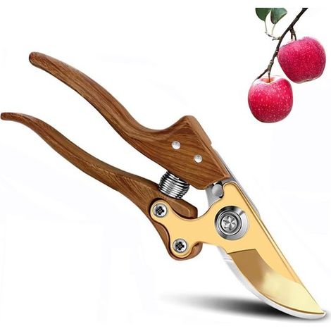 Forbici da giardinaggio Dailygoods, robuste cesoie da potatura con lama bypass per piante e legno giovane fino a 22 mm di diametro, con scanalatura per la linfa e lama in filo metallico. (1/5)