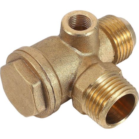 Clapet anti-retour en cuivre 1/2 NPT Filetage interne et externe Air (1/5)