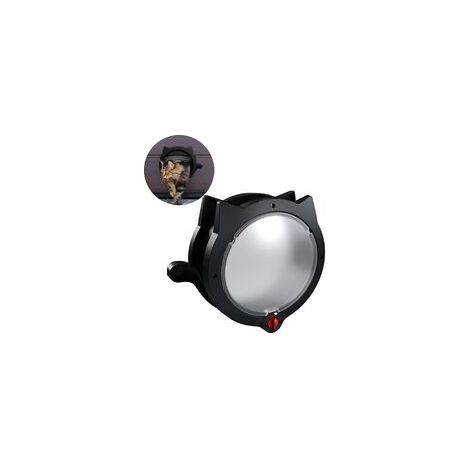 Porte pour chat - Rabattable, idéale pour les chats et les petits chiens (Noir) (1/3)