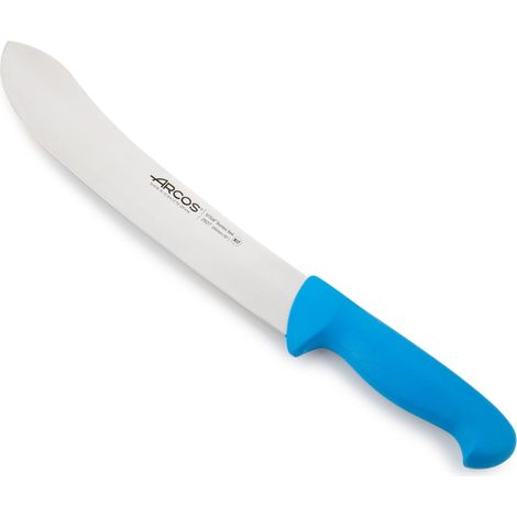 Coltello da macellaio Arcos Colore - Prof 292723 in acciaio inox Nitrum e mango ergonomico blu Polipropilene e 25 cm lama, coperchio display