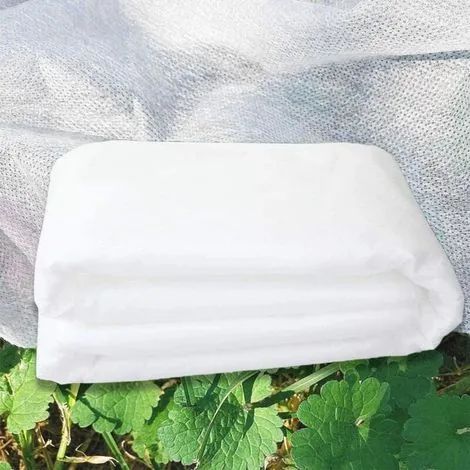 Bâche d'hivernage pour plantes d'extérieur, 2 x 10 m, épaisse, pour protéger vos plantes du gel.