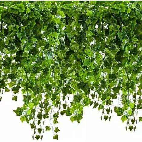 Ecleanfy - Guirlande de lierre de 50 mètres / Guirlande de feuilles - 2 mètres (1/5)