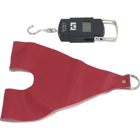 Porte-poulailler portable et polyvalent avec balance suspendue pour poules, coqs et canards (ensemble rouge) (1/5)