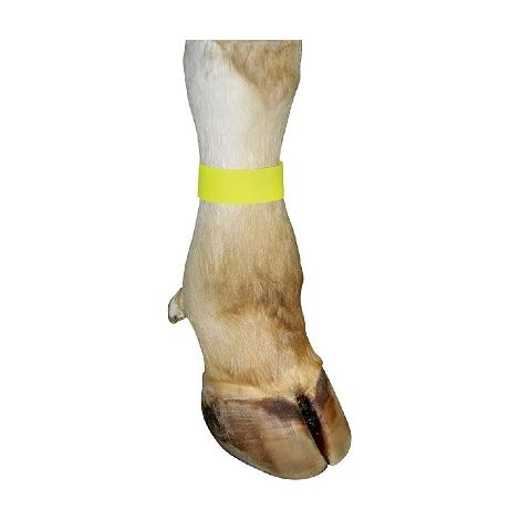 Kerblarmband mit Klettverschluss fÐ©r Rindfleisch, 33 x 4 cm, Gelb