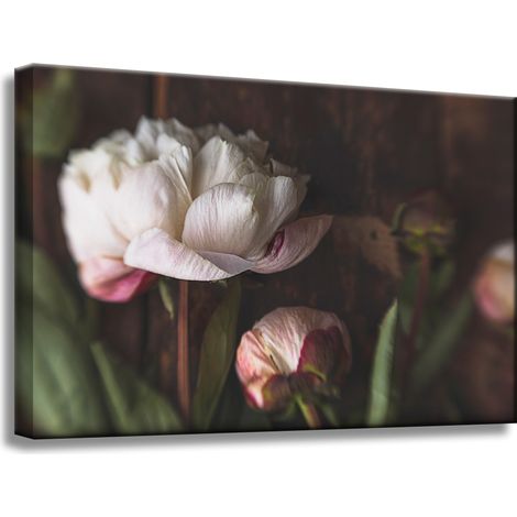 Leinwanddruck Botanik Blume Pfingstrosen 60x40 cm Blumenstrauß Flora